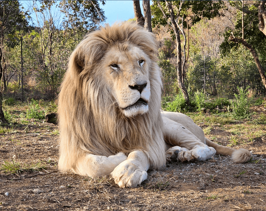 Boschpoort Predator Sanctuary at Mabalingwe